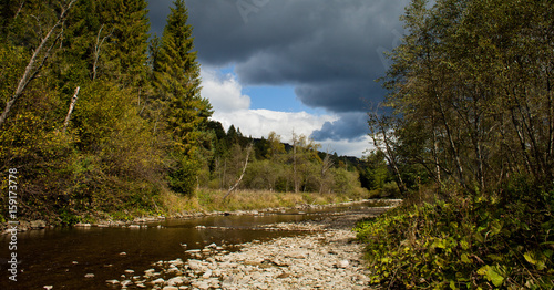 Fototapeta Naklejka Na Ścianę i Meble -  River in Bieszczady Mountains in Poland.