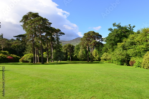 Fototapeta Naklejka Na Ścianę i Meble -  The landscaped gardens at a country home in Ireland.
