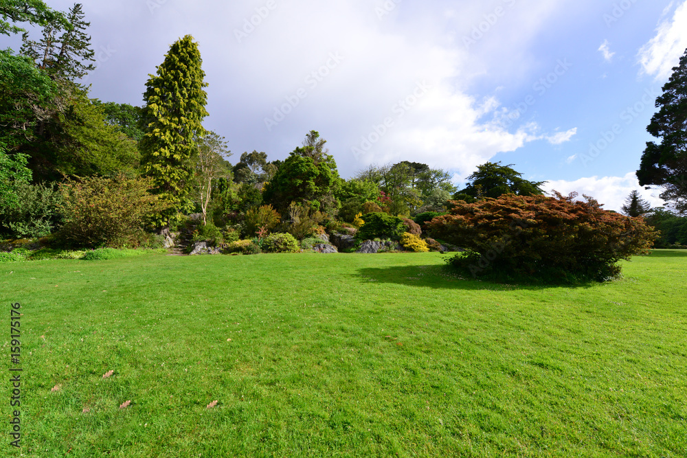 The landscaped gardens at a country home in Ireland.
The landscaped gardens at a country home in Ireland.