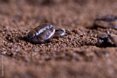 Closeup of two coffee beans at roasted coffee heap. Coffee bean on macro ground coffee background.