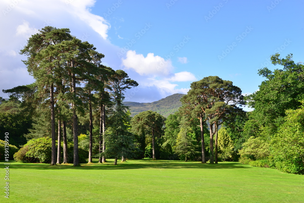 The landscaped gardens at a country home in Ireland.
The landscaped gardens at a country home in Ireland.