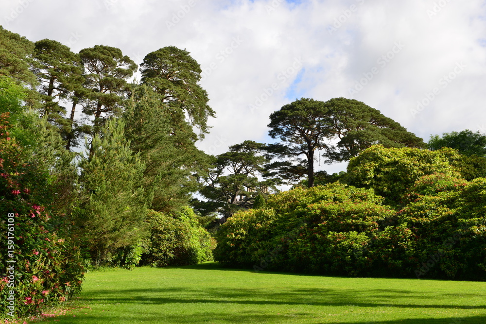 The landscaped gardens at a country home in Ireland.
