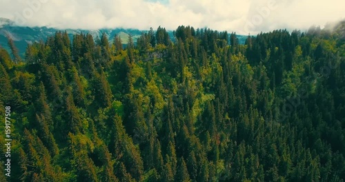 Luftaufnahme mit Wald im Gebirge im Zentrum, aufsteigende Kamerafahrt