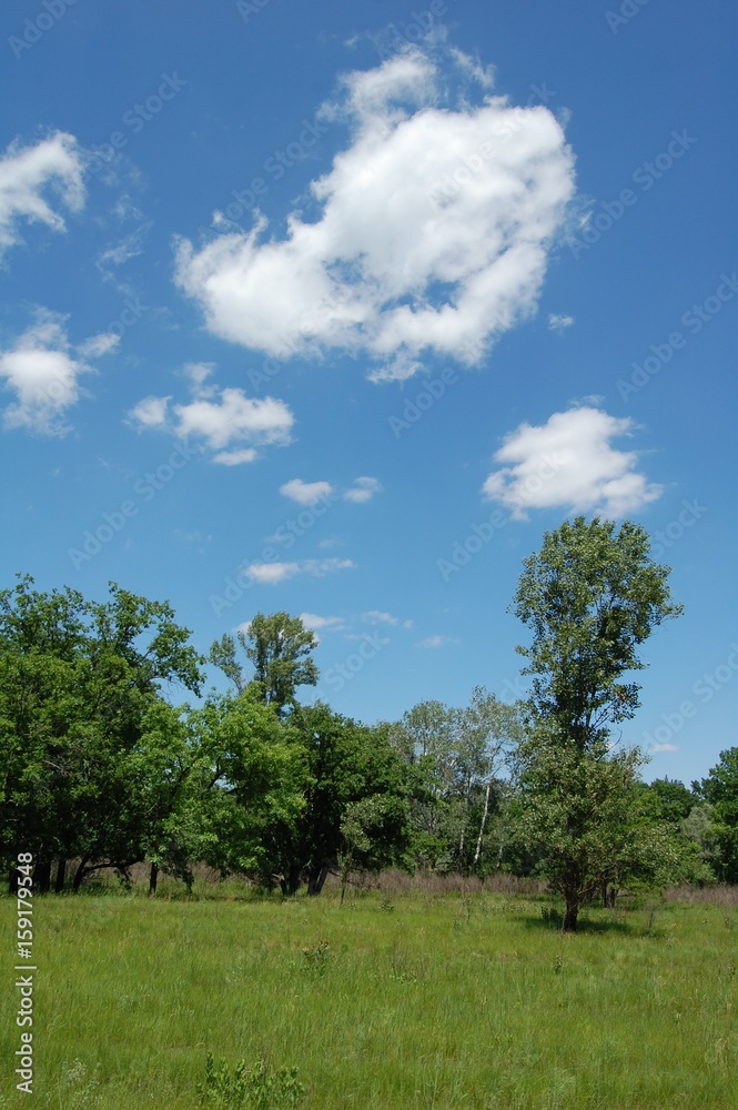 Obraz premium A wonderful summer sends you an air kiss