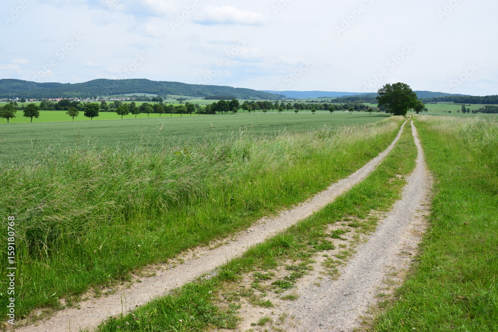 Höhenzug Schecken bei Hameln