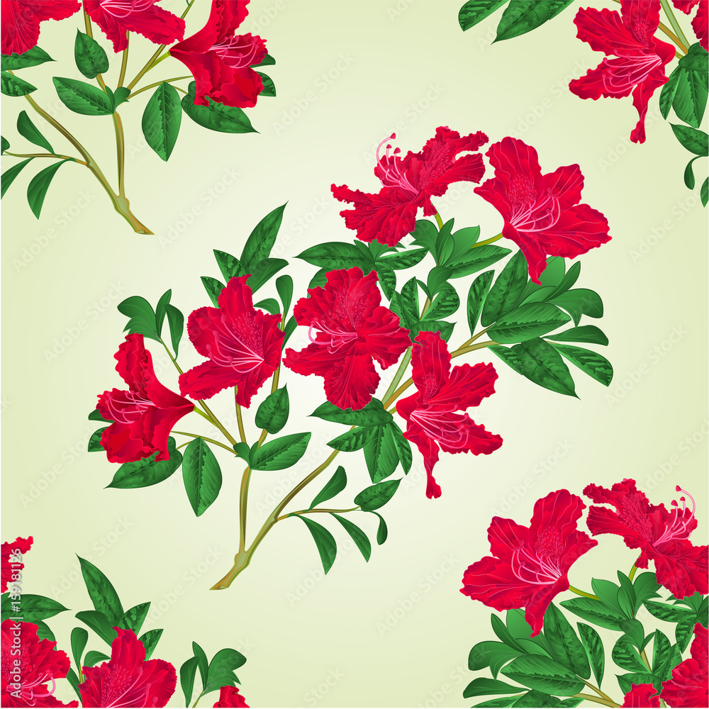 Seamless texture red rhododendron twig with flowers and leaves mountain shrub vintage vector botanical illustration hand draw Seamless texture red rhododendron twig with flowers and leaves mountain shrub vintage vector botanical illustration hand draw