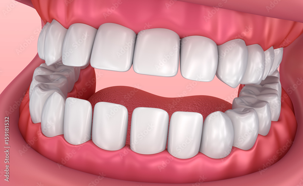 Fototapeta premium Mouth gum and teeth. Medically accurate tooth 3D illustration