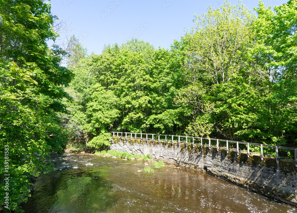 Beautiful  River in the forest