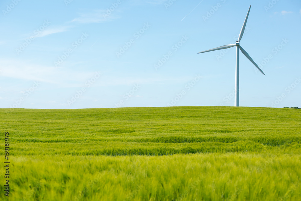 Wind power with green cornfield Wind power with green cornfield
