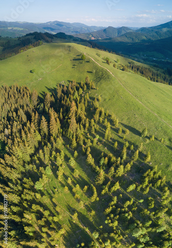 Forest as a background. Natural background from air