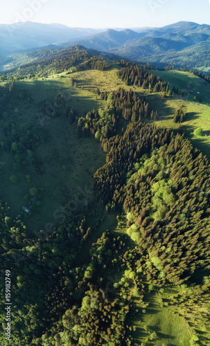 Forest as a background. Natural background from air