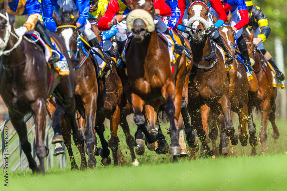 Horse Racing Closeup Animals Legs Hoofs Grass Track Horse Racing Closeup Animals Legs Hoofs Grass Track