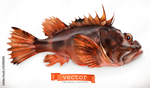 Scorpionfish. 3d vector icon. Seafood, realism style