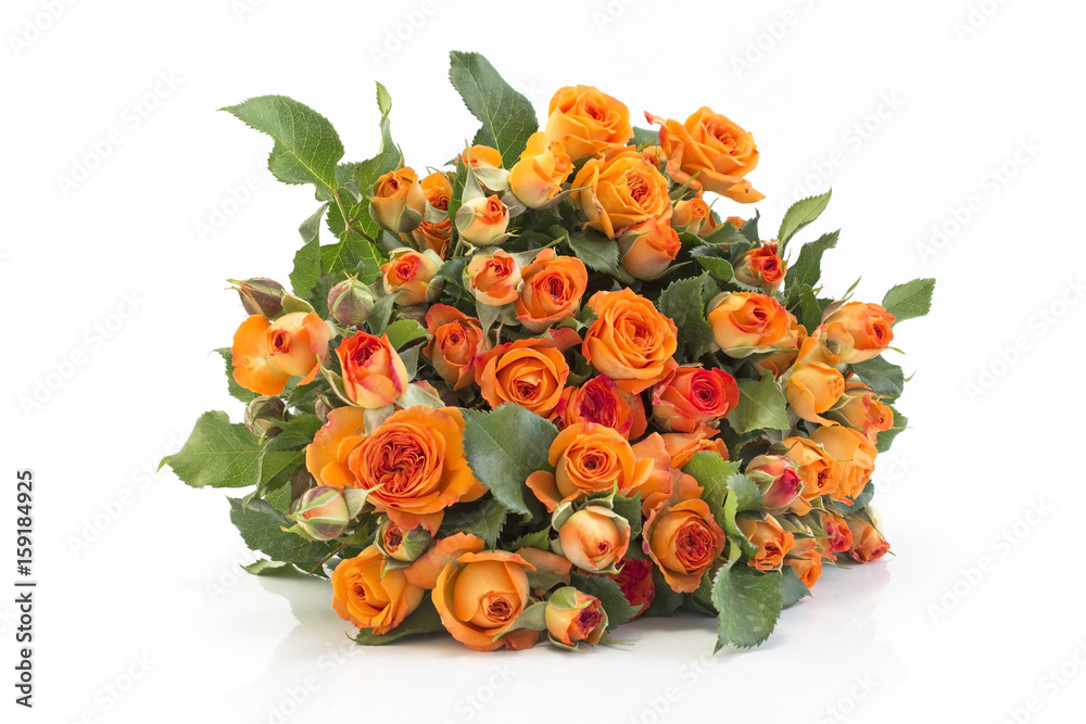 Obraz premium Bouquet of Orange Roses