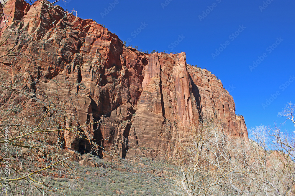 Obraz premium Zion National Park, Utah