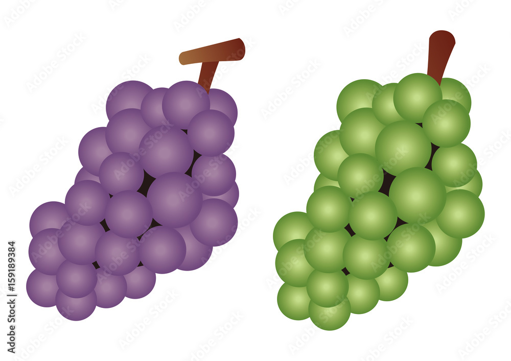 ブドウ 葡萄 ぶどう イラスト素材 Stock Illustration Adobe Stock