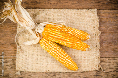 Dried corn on wooden table photo