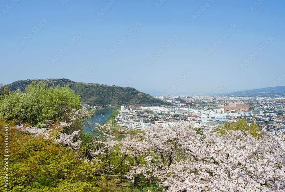 本城山公園展望台から見た風景
