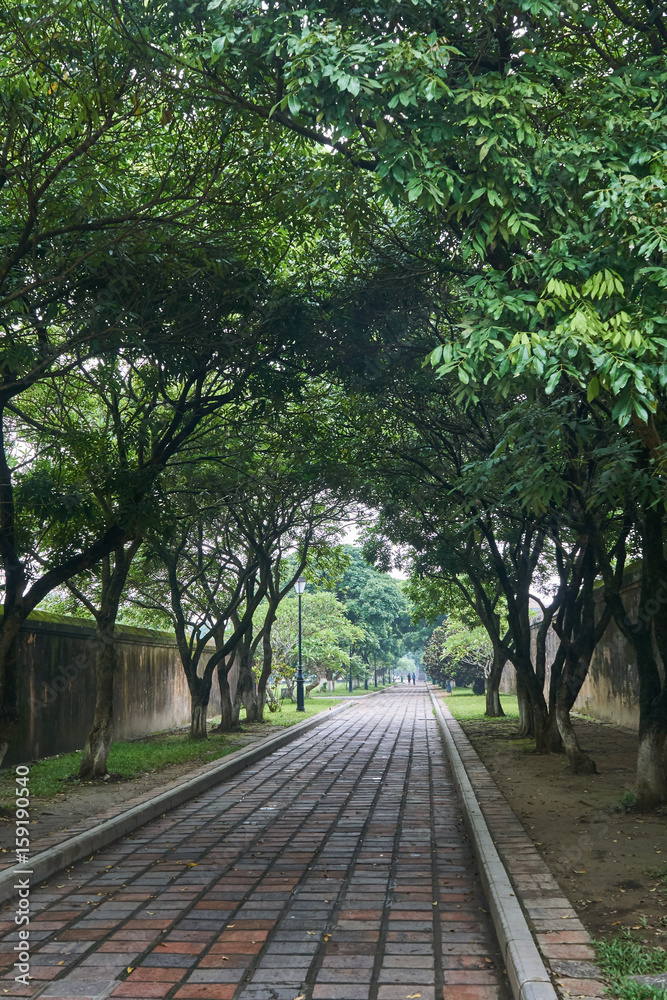 Empty footpath on a foggy day in the imperial city in Hue, Vietnam.