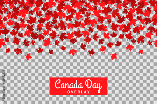 Seamless pattern with maple leafs for 1st of July celebration on transparent background. Canada Day.