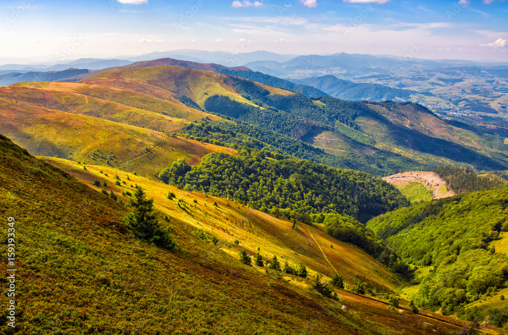 Obraz premium Carpathian Mountain Range in summer