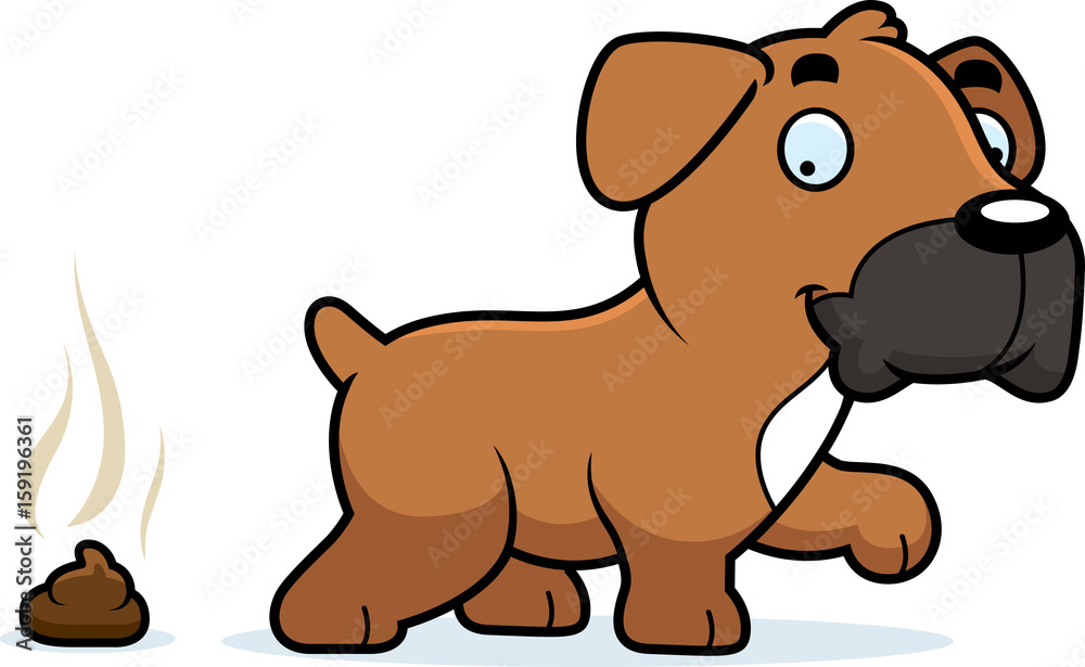 Fototapeta premium Cartoon Boxer Poop
