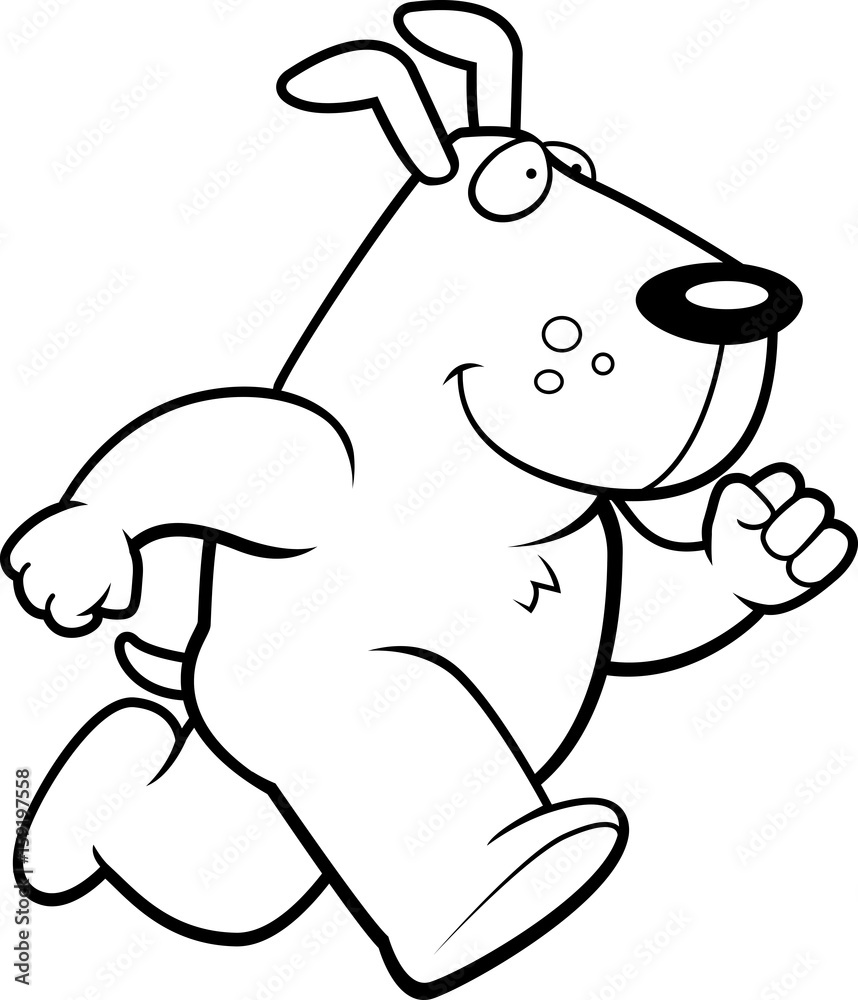 Dog Jumping Dog Jumping