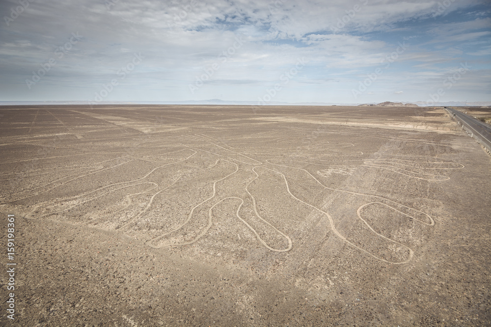 Tree (Arbol) lines in Nazca desert, Peru.