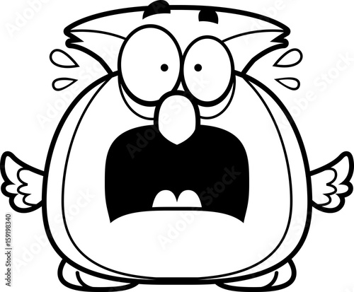 Scared Little Owl