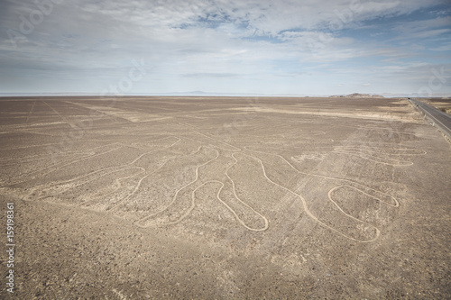 Obraz na płótnie Tree (Arbol) lines in Nazca desert, Peru. w salonie