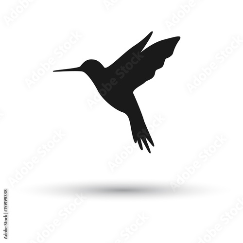 Hummingbird illustration