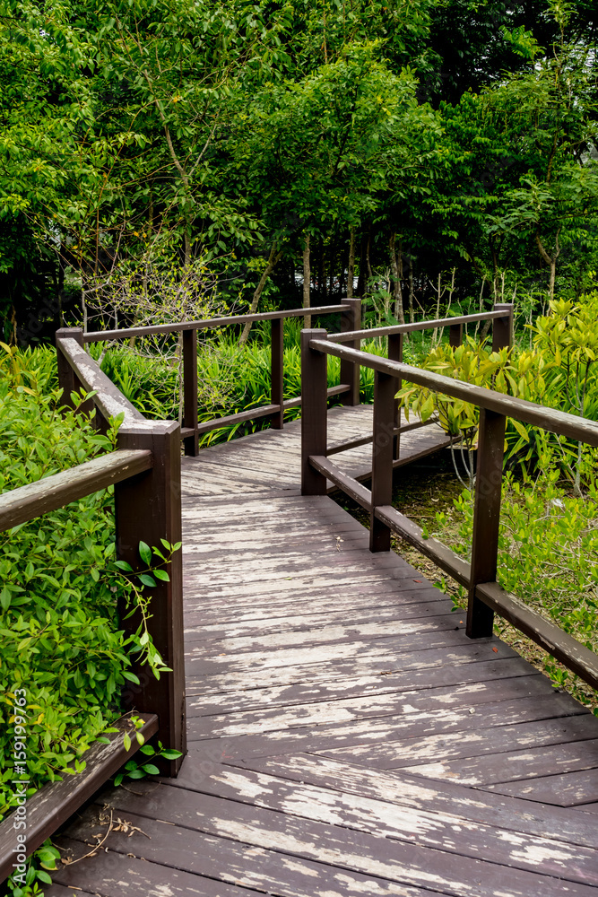 Footbridge in the park