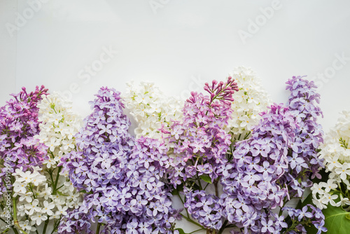 Branch of lilac on a white background. Design element for card  banners  print. Top view. 
