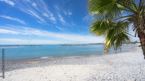  Palmenstrand mit Freiraum   Saint-Laurent-du-Var  Frankreich   