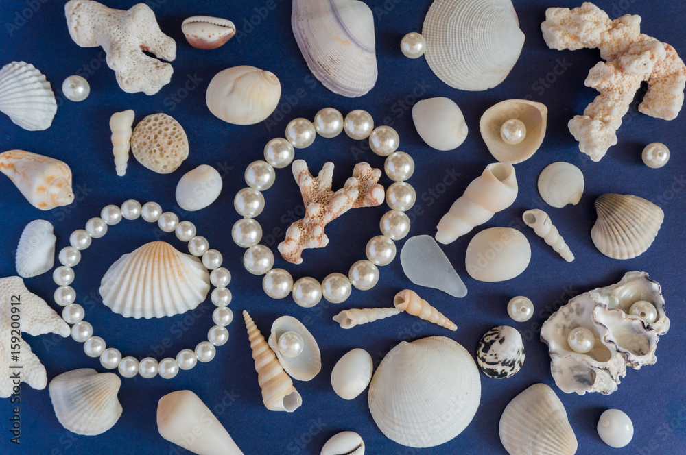 Different size and shape shells and pearls spread across a blue background
