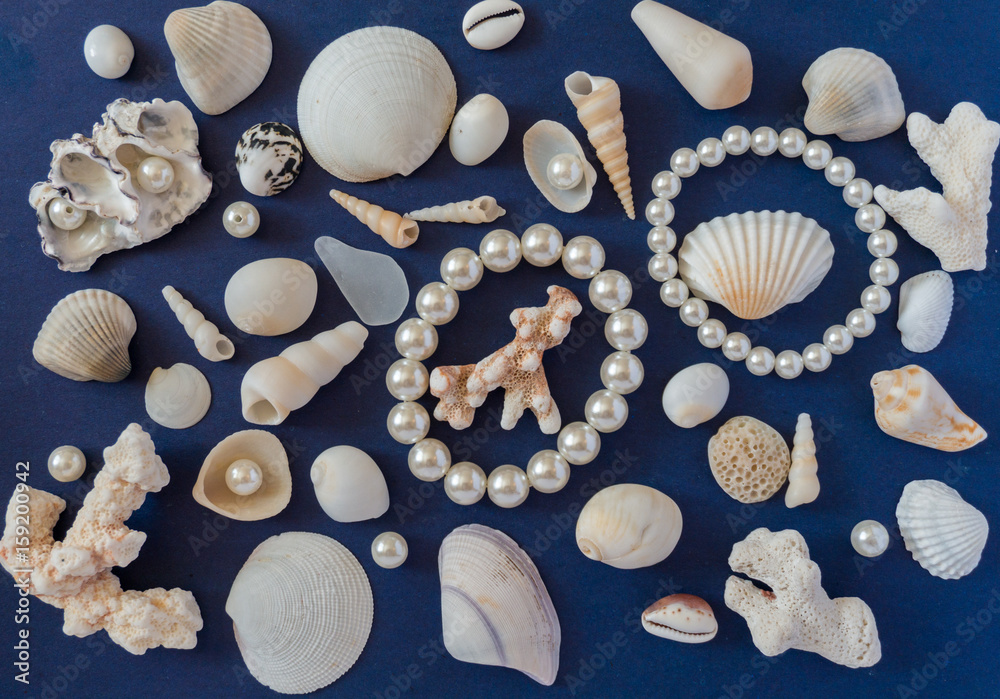 Different size and shape shells and pearls spread across a blue background Different size and shape shells and pearls spread across a blue background