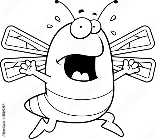 Dragonfly Panic