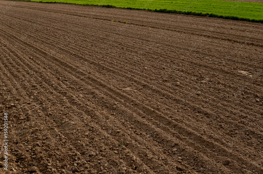 plowed empty field plowed empty field