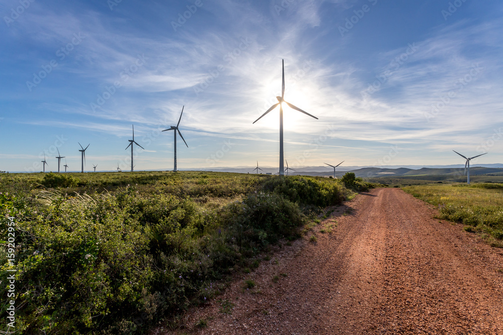 Obraz premium sur le haut d'une colline un chemin de terre et des éoliennes alignées dominant un paysage en fond