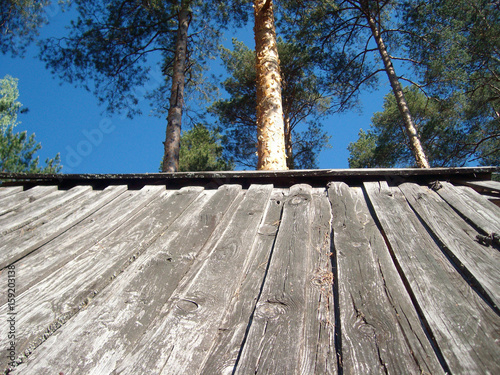 Old wooden roof against the sky and trees