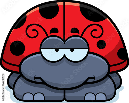 Bored Little Ladybug