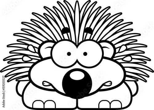 Nervous Little Porcupine