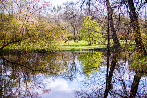 Amazing Natural Landscape With Lake Reflection