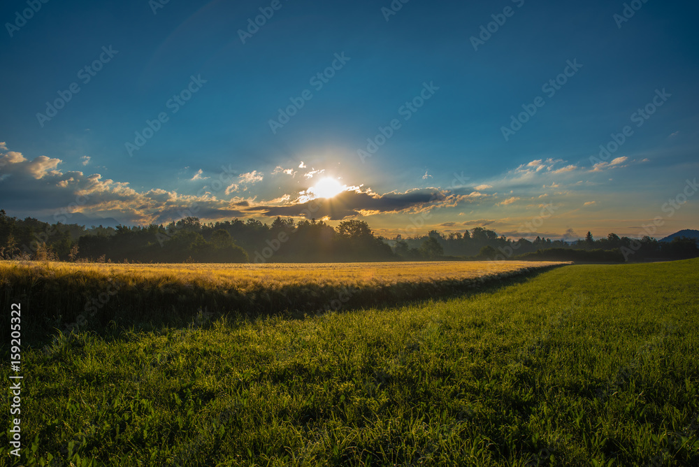 Obraz premium Beauty of the countryside