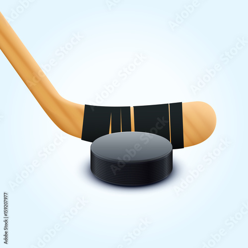 puck and stick