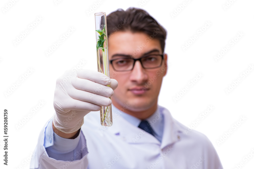 Scientist with green seedling in glass isolated on white Scientist with green seedling in glass isolated on white
