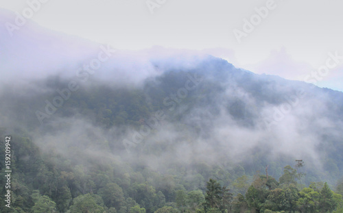 View in hill to genting highland  Malaysia
