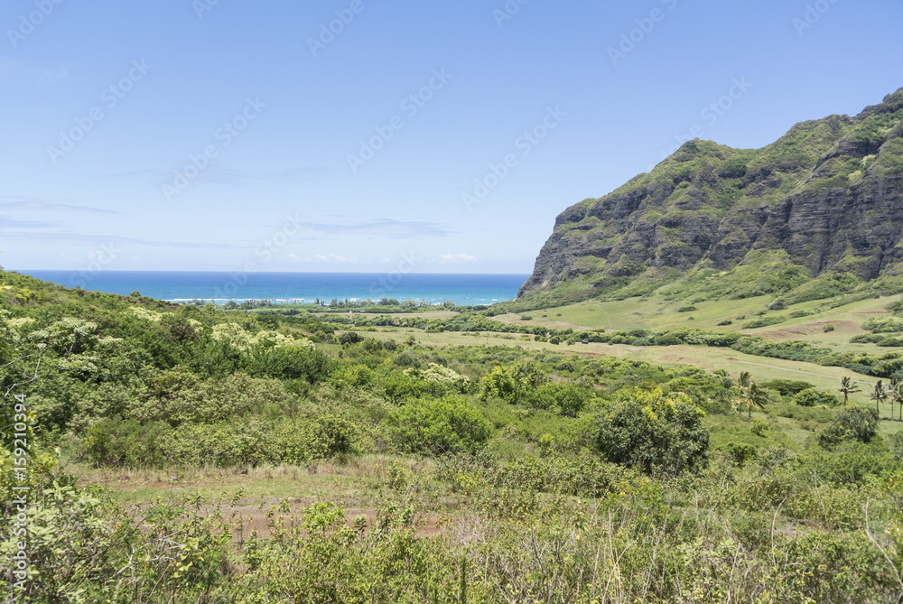 Obraz premium Hawaiian landscape 