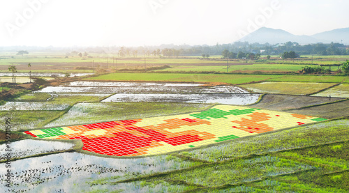 Smart agriculture , farm , precision farming concept. NIR images used to create field health maps using the normalize difference vegetation index in field rice.