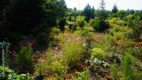 Polen Schrebergarten